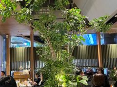 -gaga(深圳福田星河COCO Park店)