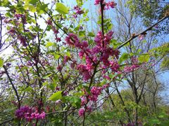 -艾溪湖湿地公园