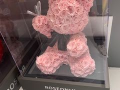 -ROSEONLY诺誓(广州K11店)