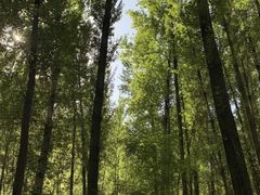 -百里山水画廊