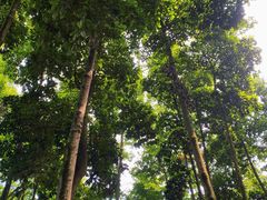 -广州市帽峰山景区