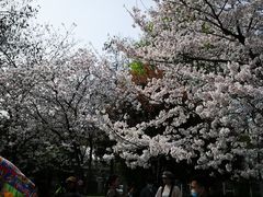 -堤角公园
