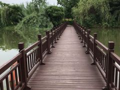 -白塔湖国家湿地公园