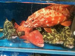 -王四营海鲜市场
