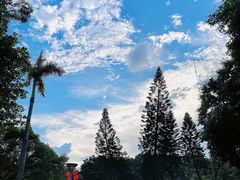 -荔湾湖公园
