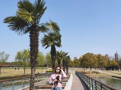 -白塘生态植物园