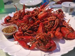 -老梅园大虾城(河西店)