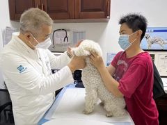 -美联众合动物医院·24h转诊中心
