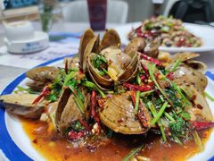 大黄蚬子-小海丁