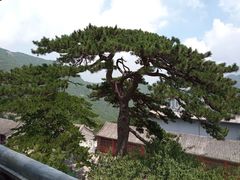 -妙峰山风景名胜区