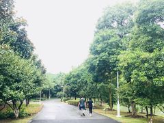 -白塘生态植物园