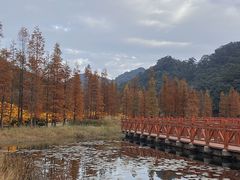 -广州市石门国家森林公园