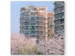 -杭州文化广播电视集团