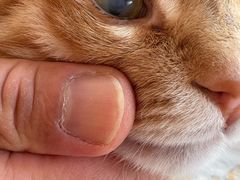 -达爱动物医院·犬猫分区·CT·复杂眼科(远洋山水分院)