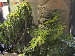 -陈熹公民族美食文化餐厅(中华广场店)