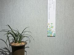 -大连美术馆