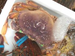 -南沙十九涌渔人码头-南门