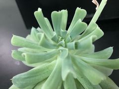 -昼夜咖啡馆