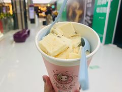 -张小姐炒酸奶