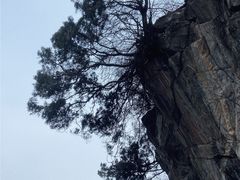 -少华山国家森林公园