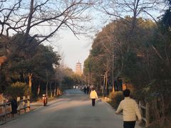 -蜀冈西峰生态公园