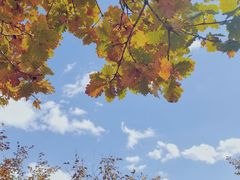 -帽儿山国家森林公园