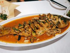 野生南湾鱼一鱼两吃-解家河南菜(商鼎路店)