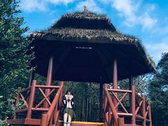 -广州市石门国家森林公园