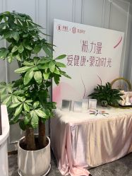 -伊丽汇