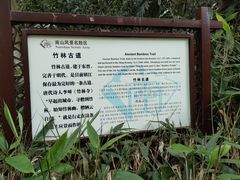 -镇江市南山风景名胜区竹林景区