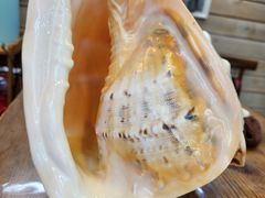 -苏小糖(鼓浪屿三丘田花园店)