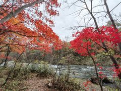 -关门山森林公园