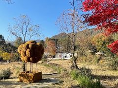 -塔川景区