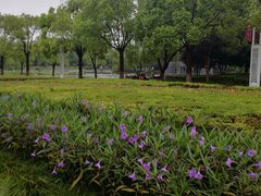 -杭州师范大学(下沙校区)