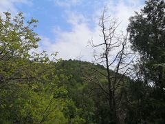 -北京西山国家森林公园