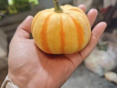 -三源里菜市场