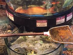 -陶陶居海鲜酒家(新马路店)
