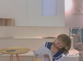 南宁首家撸猫换装体验店