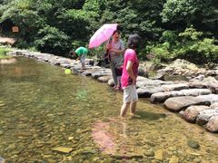 -宁波浙东大竹海景区