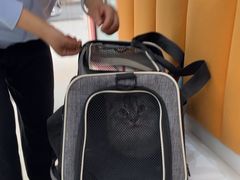 -全心全意连锁动物医院·微创中心·内科急重症·心脏专科(丰管路店)