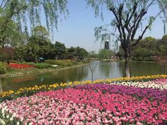 -上海鲜花港