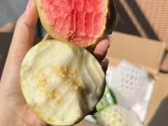 -78线水果批发市场精品厅五号