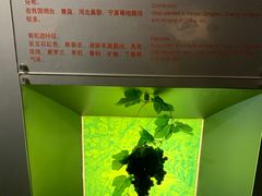 -龙谕酒庄