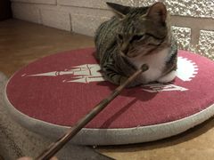 -逃脱反斗城沉浸剧情密室(北京路店)