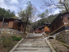 -王顺山国家森林公园