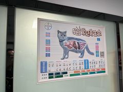 -半岛宠物医院24小时(科华中路店)