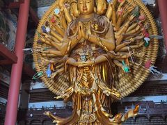 -上海东林寺(金山区)