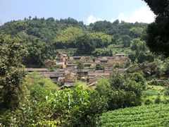 -杨家堂村