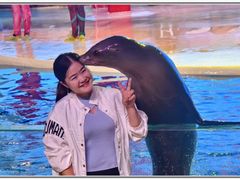 -三亚海昌梦幻海洋不夜城