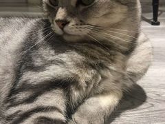 -芭比堂动物医院·犬猫全科·异宠专科(雁塔分院)